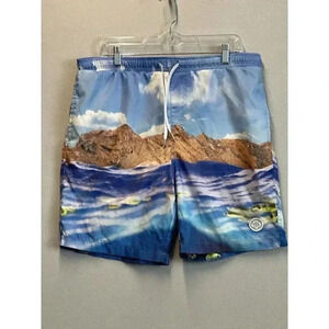 Men's Brooklyn Cloth Mfg Co Volley Swim Trunks Size Large Ocean Beach‎ Design